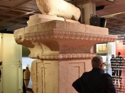 Ciudad de Elche 2022